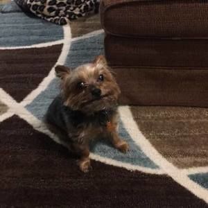 Meet your Posher, Barbara